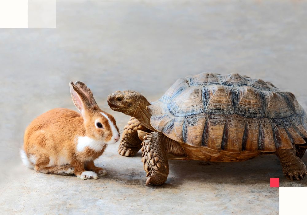 retail consumer trends