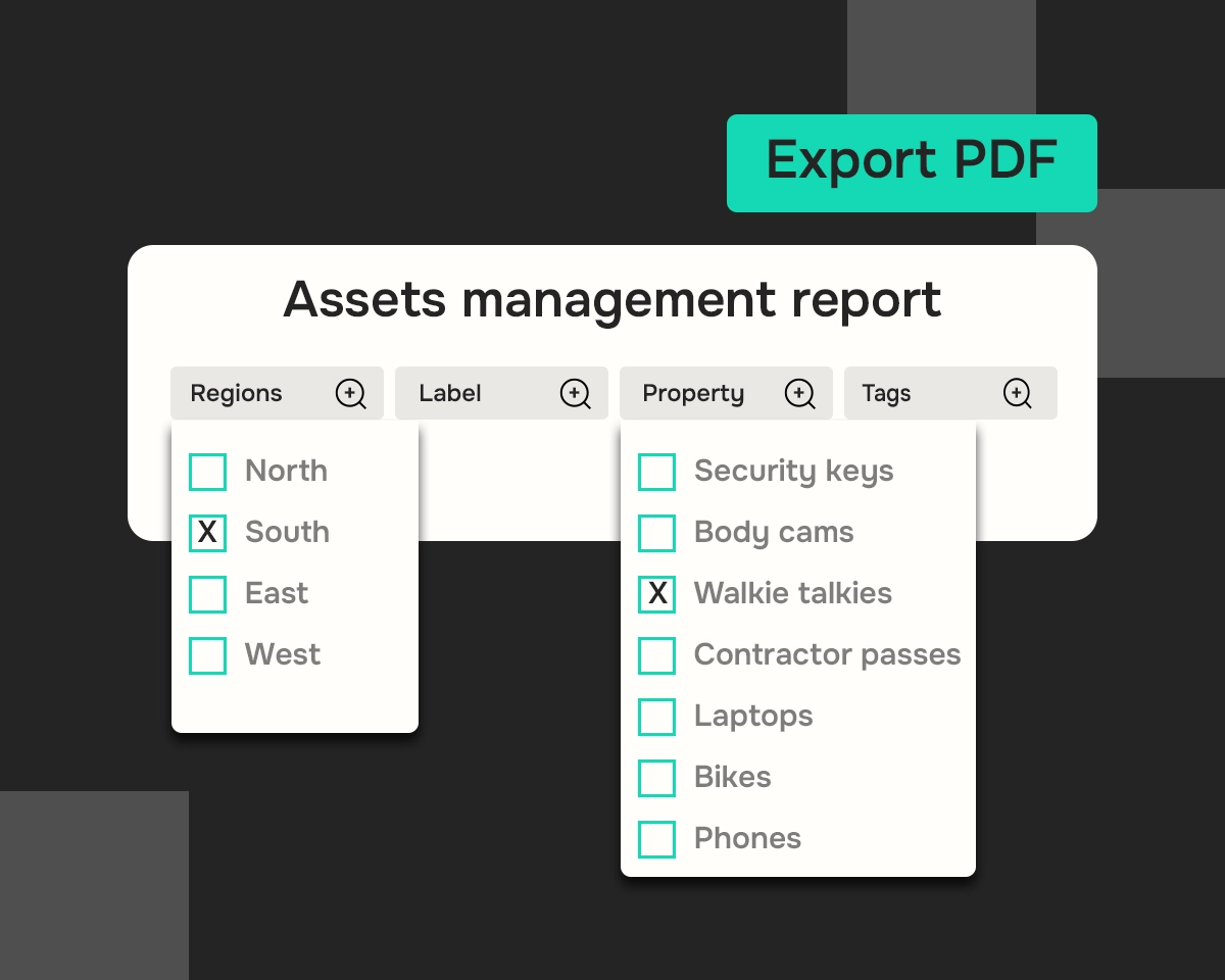 asset management report